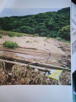 솔향농원님의 자유주제 · 자유게시판 작성글 사진