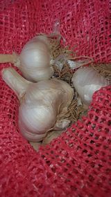 팜모닝 · 게시글 이미지