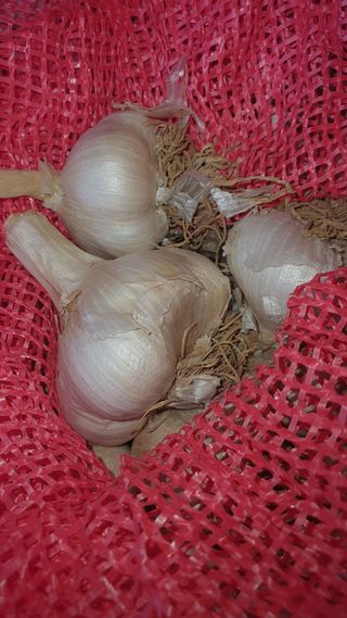 오다가다님의 작성글 사진