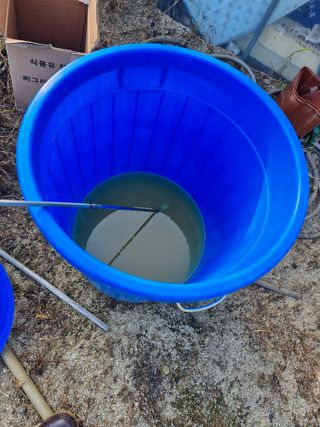 당근한개님의 자유주제 · 자유게시판 작성글 사진