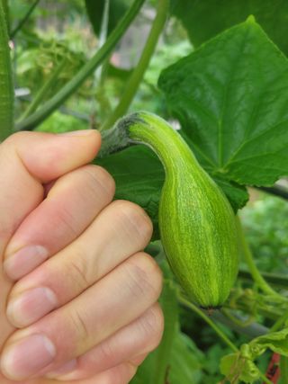 강신학님의 자유주제 · 자유게시판 작성글 사진