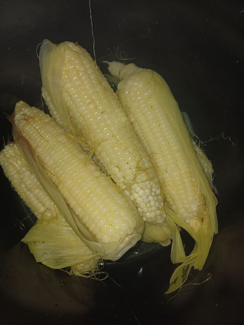 삼성농산님의 장터 판매 상품 [(마감)백 찰옥수수 판매] 첨부 사진