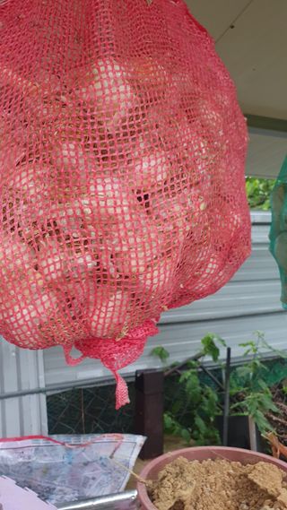 오다가다님의 작성글 사진