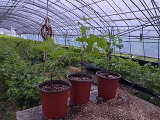 김차식님의 자유주제 · 자유게시판 작성글 사진