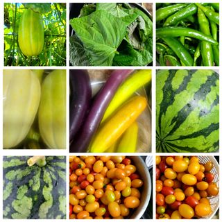 행복농장아다나님의 자유주제 · 자유게시판 작성글 사진