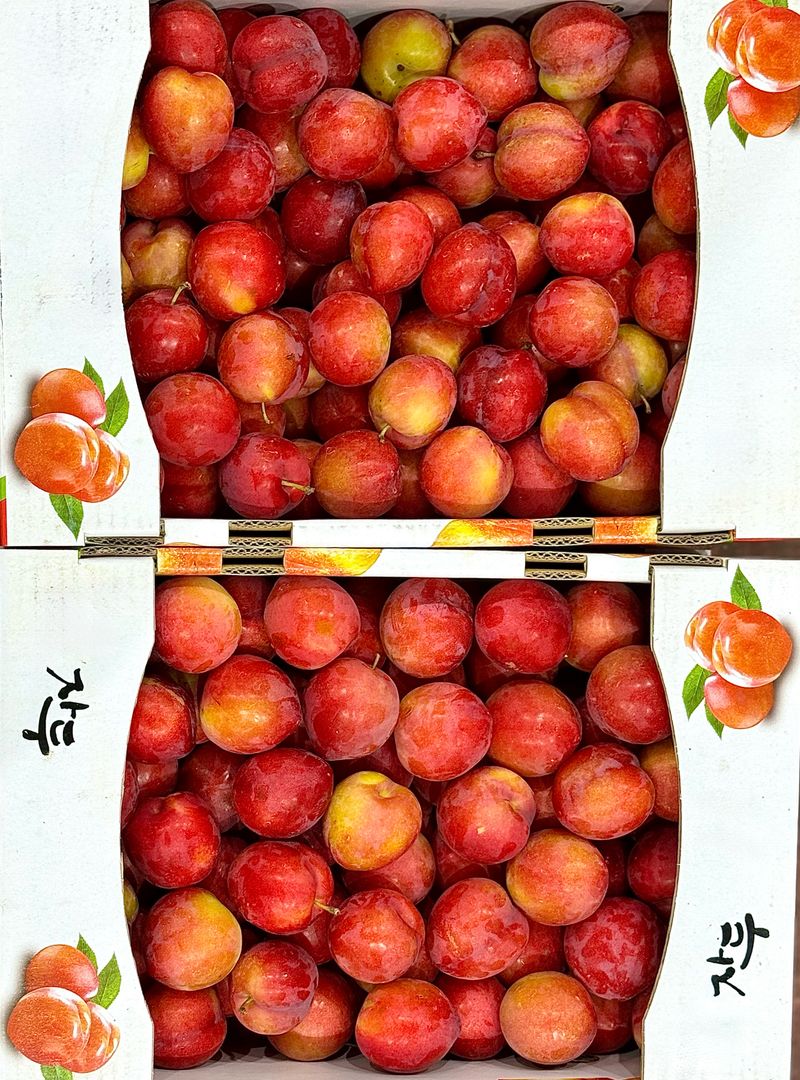 농부손녀님의 장터 판매 상품 [새콤 달콤한 맛 자두 2kg 4kg] 첨부 사진