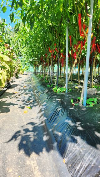 권오술하지마koss님의 자유주제 · 사진전 작성글 사진