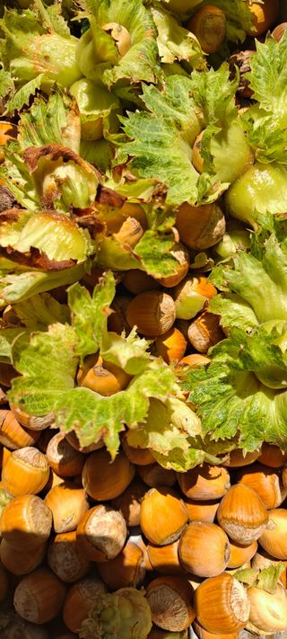 장준재님의 자유주제 · 자유게시판 작성글 사진