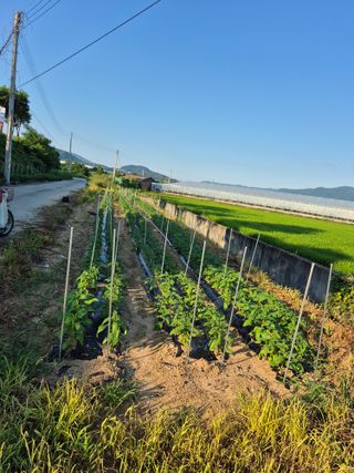 찬균park님의 자유주제 · 자유게시판 작성글 사진