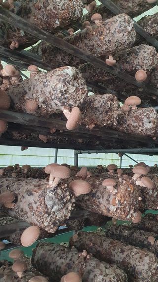 장계령님의 자유주제 · 자유게시판 작성글 사진