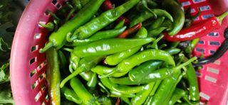 배순녀님의 자유주제 · 자유게시판 작성글 사진