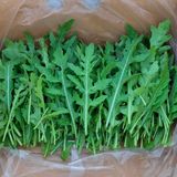 팜모닝 자유주제·자유게시판 게시글 이미지