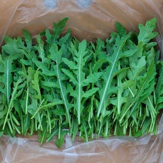 프롬밭님의 자유주제 · 자유게시판 작성글 사진