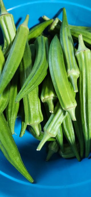 배순녀님의 자유주제 · 자유게시판 작성글 사진