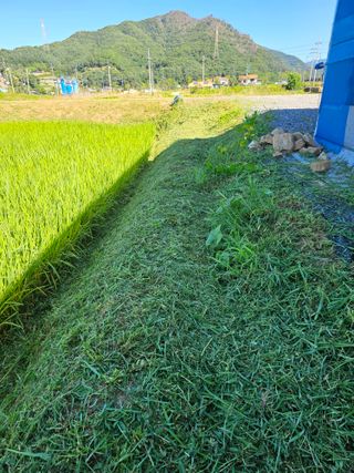 전복수님의 자유주제 · 자유게시판 작성글 사진