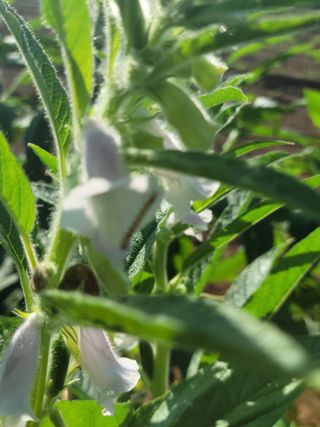 이상숙님의 자유주제 · 자유게시판 작성글 사진