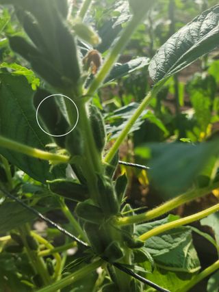 이상숙님의 자유주제 · 자유게시판 작성글 사진