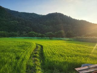 이연화님의 자유주제 · 자유게시판 작성글 사진