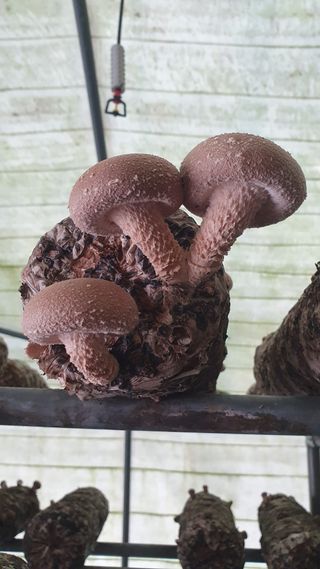 장계령님의 자유주제 · 자유게시판 작성글 사진