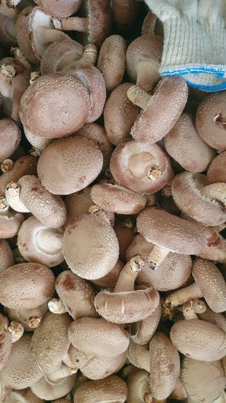 장계령님의 자유주제 · 자유게시판 작성글 사진