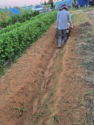 김한수님의 자유주제 · 자유게시판 작성글 사진