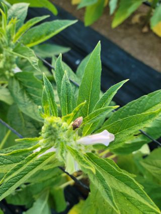 이상숙님의 자유주제 · 자유게시판 작성글 사진