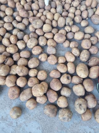 김용대님의 자유주제 · 자유게시판 작성글 사진