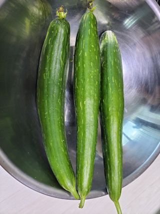 원빈님의 자유주제 · 자유게시판 작성글 사진