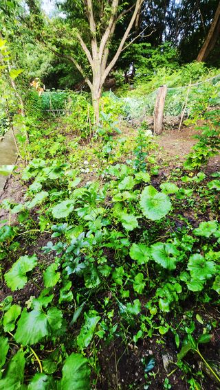 권오술하지마koss님의 자유주제 · 사진전 작성글 사진