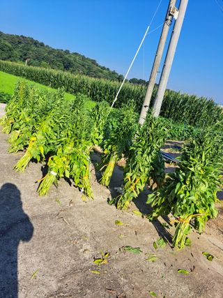 좋은인연원님의 자유주제 · 자유게시판 작성글 사진