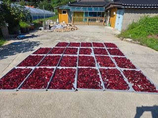 호영님의 자유주제 · 자유게시판 작성글 사진