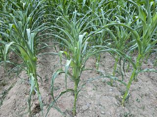 장관덕님의 자유주제 · 자유게시판 작성글 사진