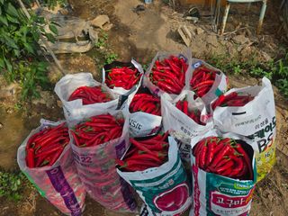 호영님의 자유주제 · 자유게시판 작성글 사진