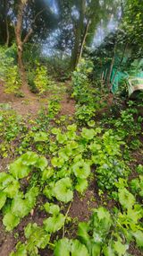 권오술하지마koss님의 자유주제·사진전 작성글 사진