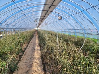 다온농장님의 농사, 무엇이든 물어보세요! · 참여글 작성글 사진