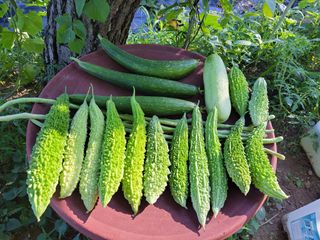 원빈님의 자유주제 · 자유게시판 작성글 사진