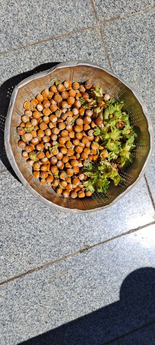 장준재님의 자유주제 · 자유게시판 작성글 사진