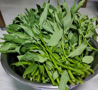 원빈님의 자유주제 · 자유게시판 작성글 사진