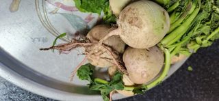 배순녀님의 자유주제 · 자유게시판 작성글 사진