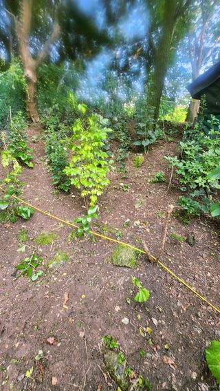 권오술하지마koss님의 자유주제·사진전 작성글 사진