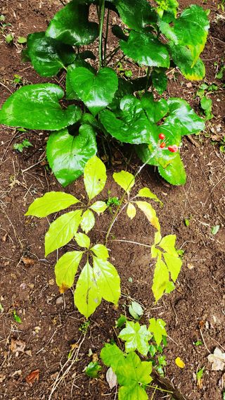 권오술하지마koss님의 자유주제 · 사진전 작성글 사진