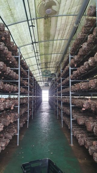 장계령님의 자유주제 · 자유게시판 작성글 사진