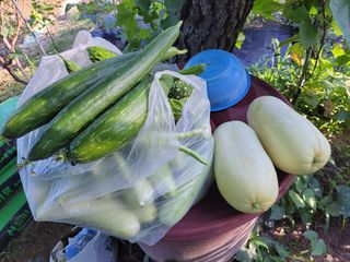 원빈님의 자유주제 · 자유게시판 작성글 사진