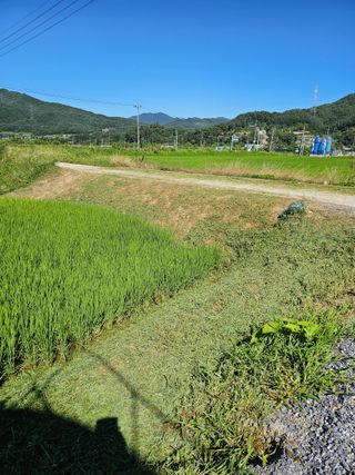 전복수님의 자유주제 · 자유게시판 작성글 사진