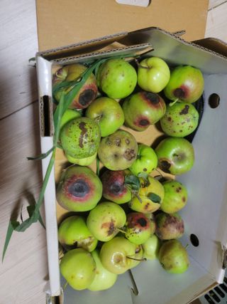 황금알대박농원!님의 자유주제 · 자유게시판 작성글 사진