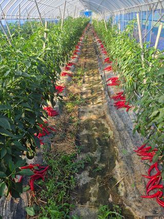 호영님의 자유주제 · 자유게시판 작성글 사진