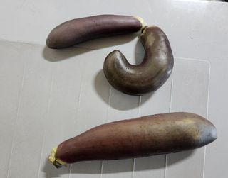 이종구님의 자유주제 · 자유게시판 작성글 사진