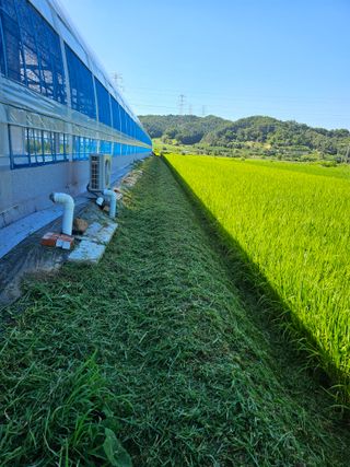 전복수님의 자유주제 · 자유게시판 작성글 사진