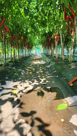 권오술하지마koss님의 자유주제 · 사진전 작성글 사진