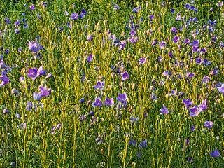 이연화님의 자유주제 · 자유게시판 작성글 사진